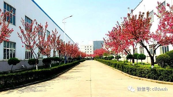 1554385499107471.jpg 0 (5).jpg