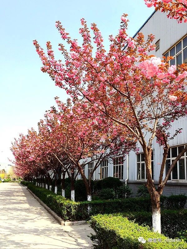 1554385570331311.jpg 0 (2).jpg