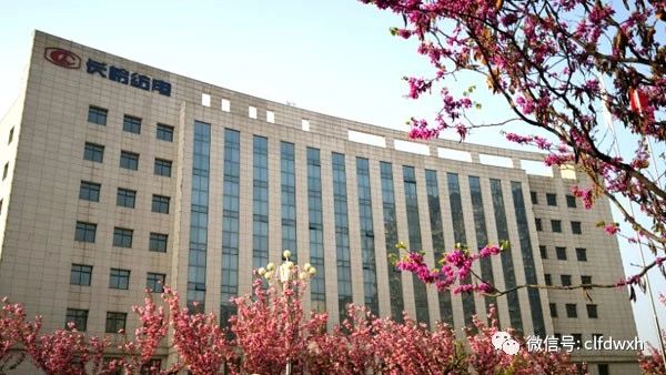 1554386304932622.jpg 0 (7).jpg