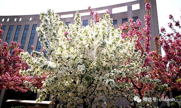 1554386408222818.jpg 0 (12).jpg