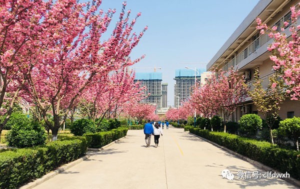 1554386464560055.jpg 0 (15).jpg