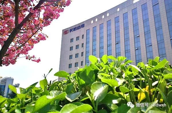 1554386540210285.jpg 0 (4).jpg