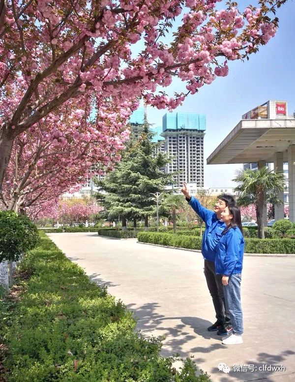 1554386731898320.jpg 0 (1).jpg